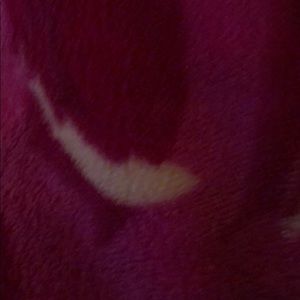 Meet your Posher, Ericka